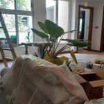گچ کاری و نقاشی ساختمان آبش زاده