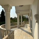 آتلیه عکس چشمان آبی