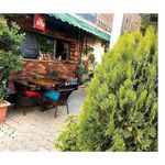 کافه و کافی شاپ مازو