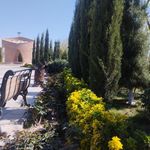 بوستان لاله ها