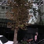شرکت نفت مناطق مرکزی ایران