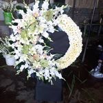 گل فروشی دنیز (آنلاین) -ارسال فوری