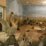 موزه تاریخ طبیعی اردبیل