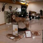 موزه تاریخ طبیعی اردبیل