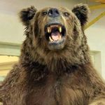 موزه تاریخ طبیعی اردبیل