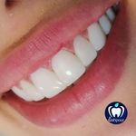 دکتر اللهیار گیاهپور