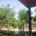 بوستان فدک