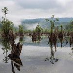 پارک ساحلی سیسنگان