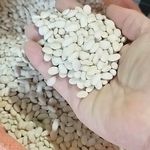 فروش حبوبات اعلا