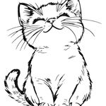 چاپ تیپسو(چاپ روی انواع البسه )