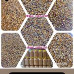 فروشگاه عسل سلیمی - شرکت زنبورداری آپادانا