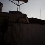 شرکت تولیدی مرغدانه