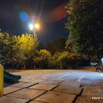 فضای سبز