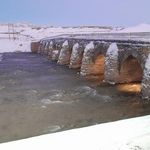 پل اورگان