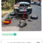 رضا شاه زندی