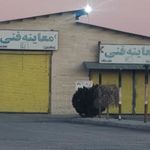 مرکز معاینه فنی خودروهای سبک و سنگین مرصاد