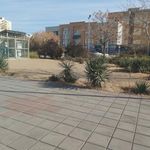 بوستان اقاقیا