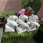 فروشگاه دوربین مداربسته اسفنجی 