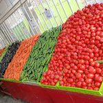 سازمان مدیریت میادین میوه وتره بار شهرداری