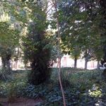 پارک شهید احمدی زمانی