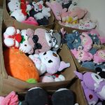 عروسک پولیشی