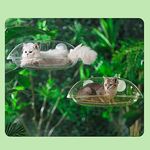 پت شاپ پت پک (آنلاین)