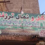 شاه گل