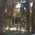 بوستان قدس