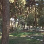 بوستان قدس