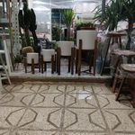 شاه گل