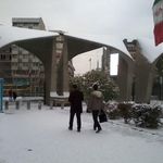 دانشگاه تهران