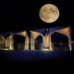 دانشگاه تهران