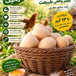 فروشگاه دهکده ارگانیک شرق