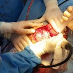 دکتر سید شهاب قاضی میرسعید