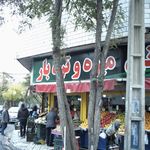 سبزیجات اماده طبخ پونه
