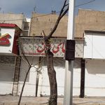 موبایل نوین