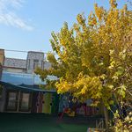 مهد کودک غنچه های صالحین