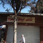 شال و روسری آیسل