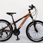 دوچرخه کارنات