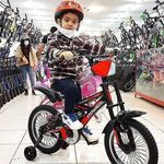 دوچرخه کارنات