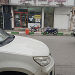 مرغ و ماهی بهشتی