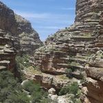 دره شیرز
