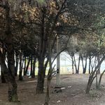 پارک ساحلی گلسار حویق