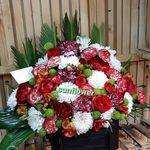 گلفروشی سان