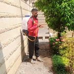 سم پاشی و خدمات گل و گیاه نودهانی