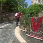 سم پاشی و خدمات گل و گیاه نودهانی