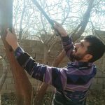 سم پاشی و خدمات گل و گیاه نودهانی