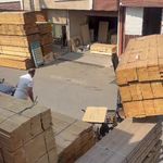 چوب و فراورده های چوبی اشکبار