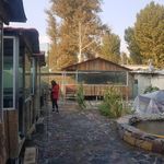 جگر سرا گل یخ