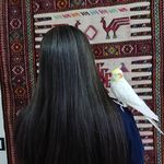 کراتین و پروتئین مو